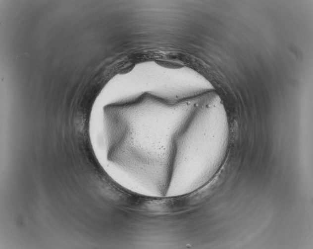 X0000111870178200908201224