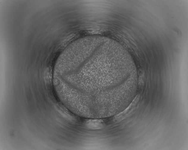 X0000111870179200908201224