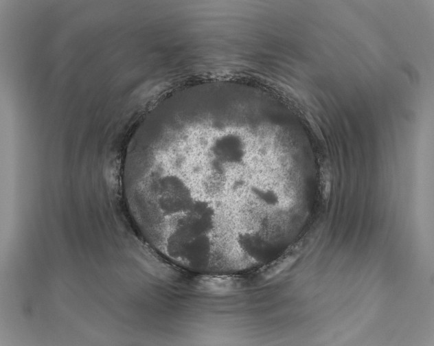 X0000111870181200908201224