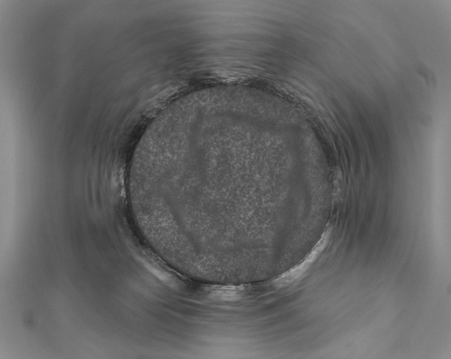 X0000111870182200908201224