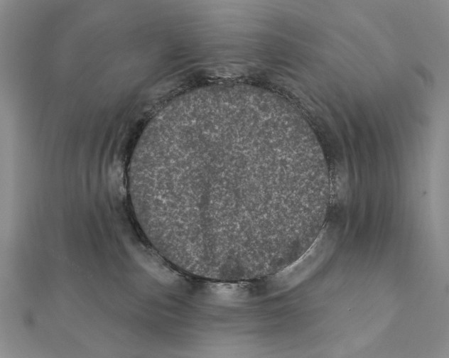 X0000111870187200908201224