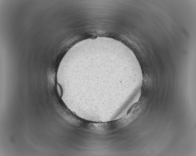 X0000111870188200908201224