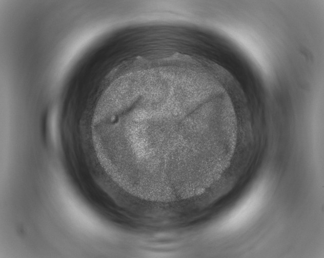 X0000111870189200908201224