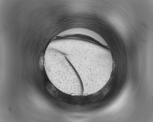 X0000111870190200908201224