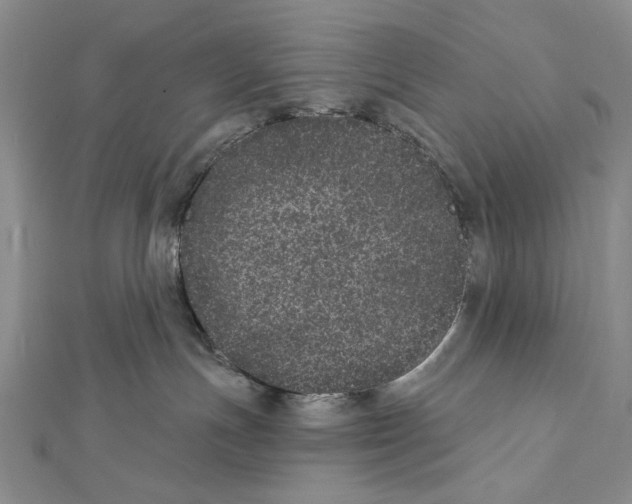 X0000111870191200908201224