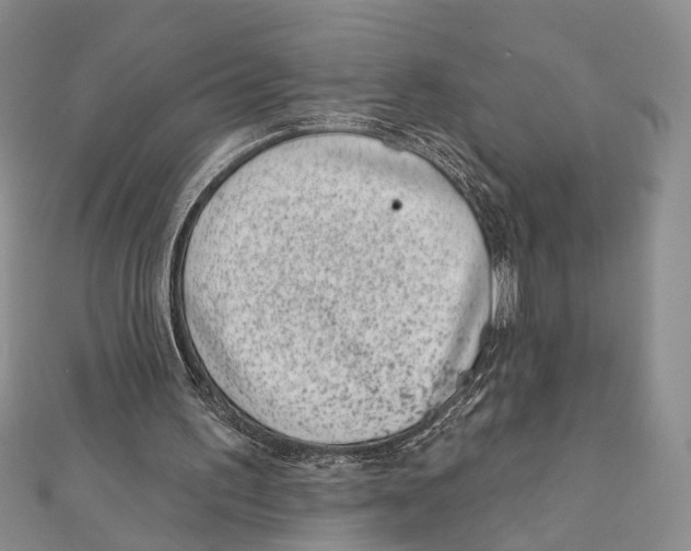 X0000111870195200908201224