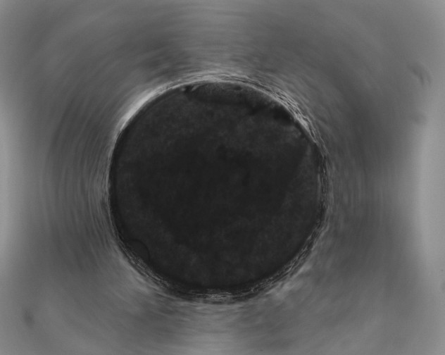 X0000111870196200908201224