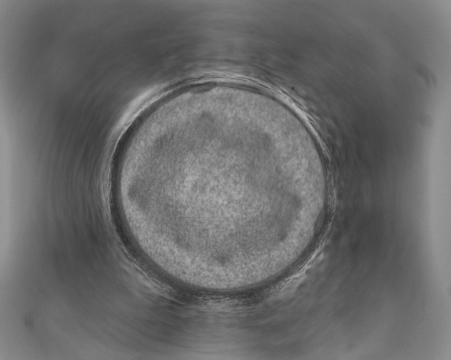 X0000111870199200908201224