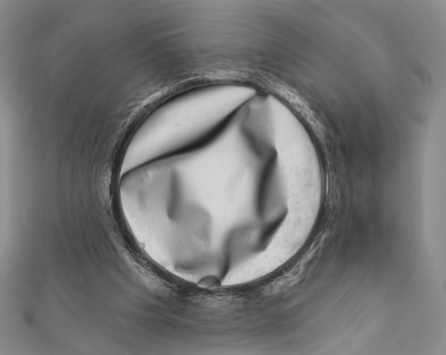 X0000111870201200908201223