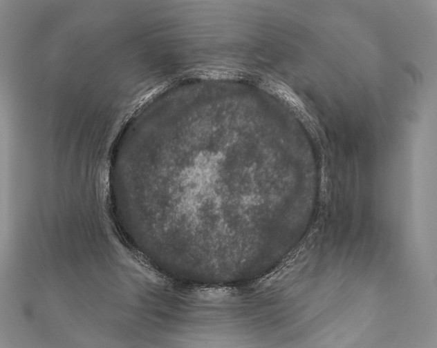 X0000111870202200908201223