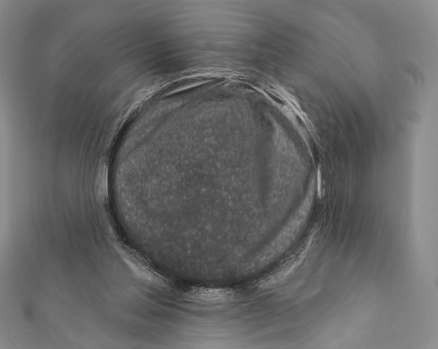 X0000111870205200908201223