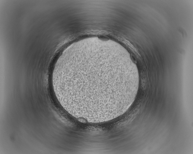 X0000111870207200908201223