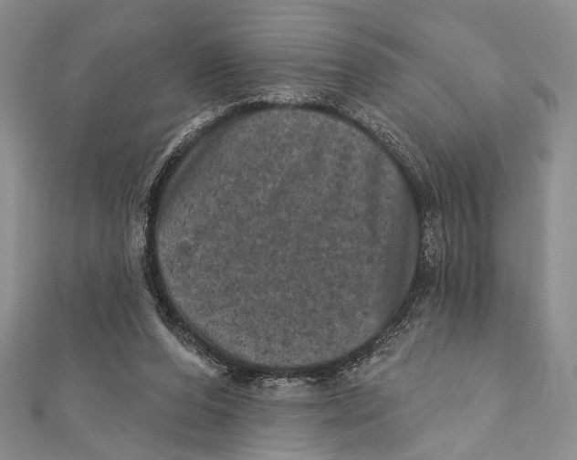 X0000111870208200908201223