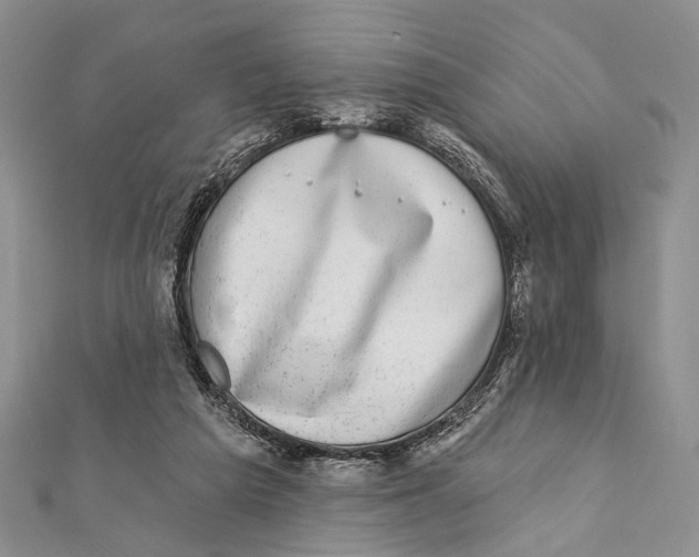 X0000111870209200908201223