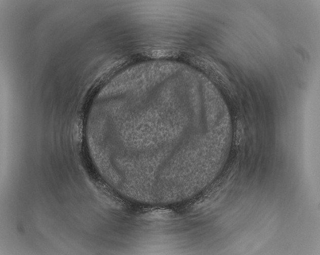 X0000111870210200908201223