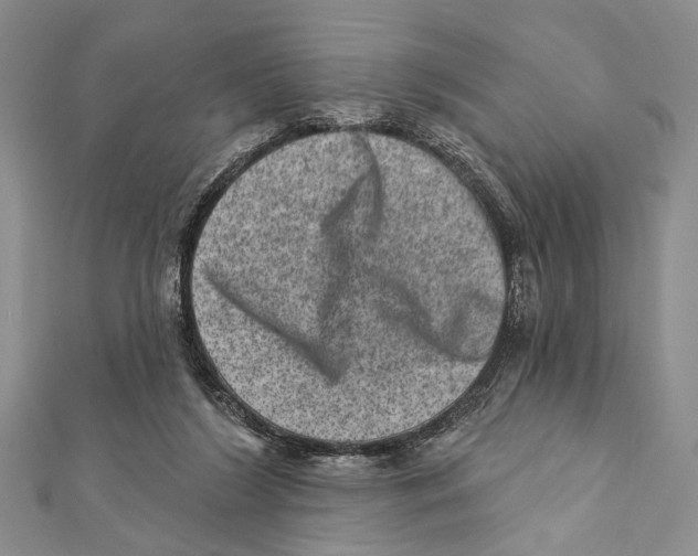 X0000111870212200908201223