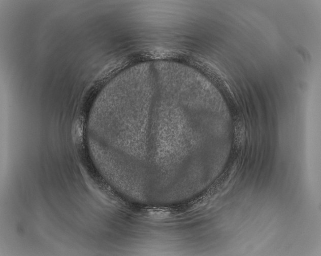 X0000111870214200908201223