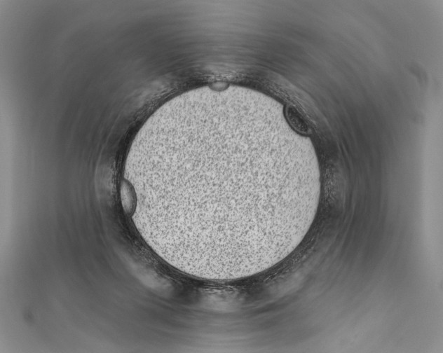 X0000111870215200908201223