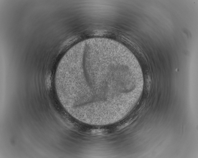 X0000111870216200908201223