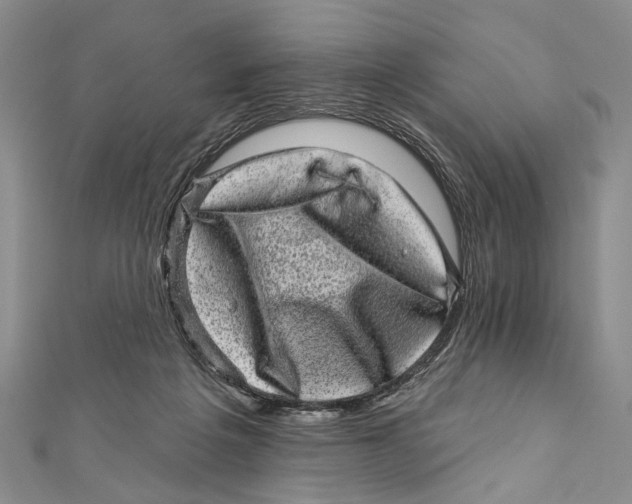 X0000111870217200908201223