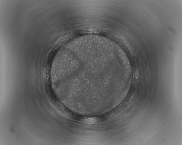 X0000111870218200908201223