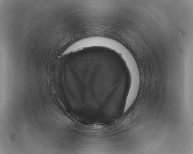 X0000111870219200908201223