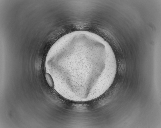 X0000111870221200908201223