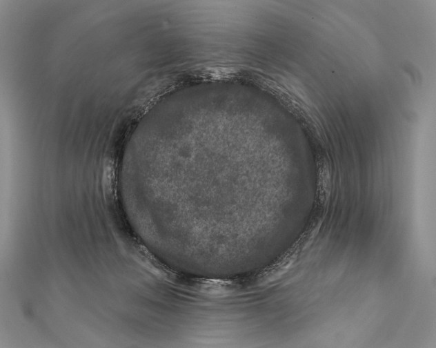 X0000111870222200908201223