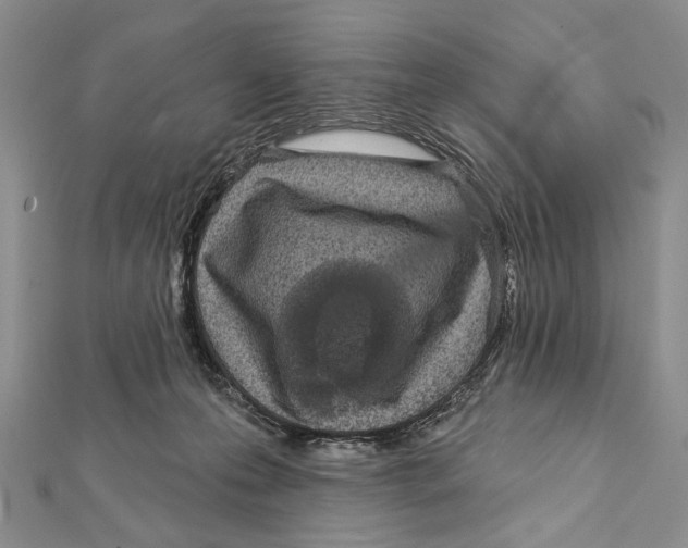 X0000111870223200908201223