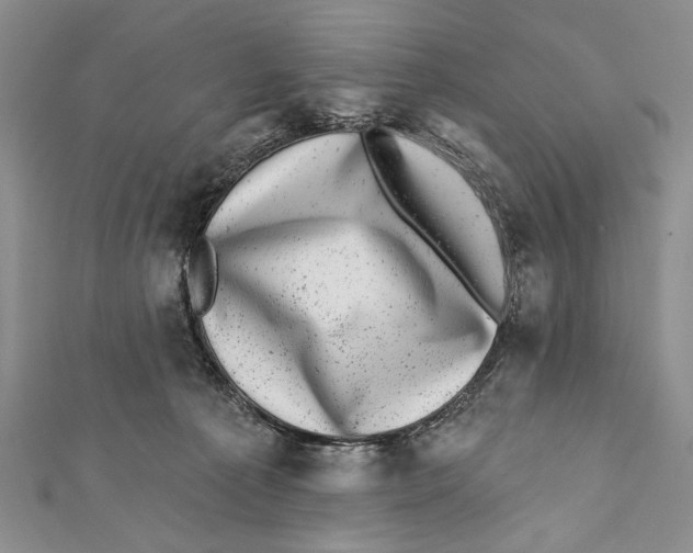 X0000111870225200908201223