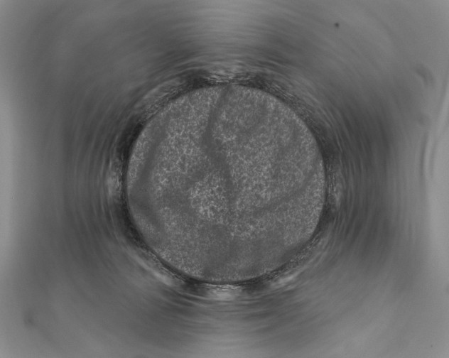 X0000111870226200908201223