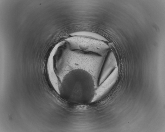 X0000111870227200908201223