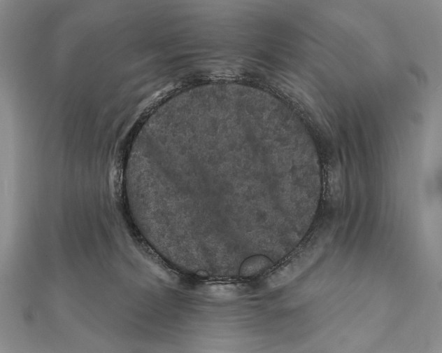 X0000111870228200908201223