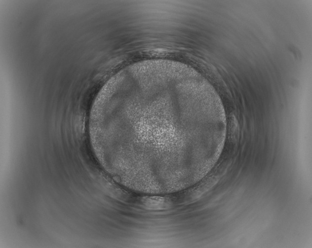 X0000111870230200908201223