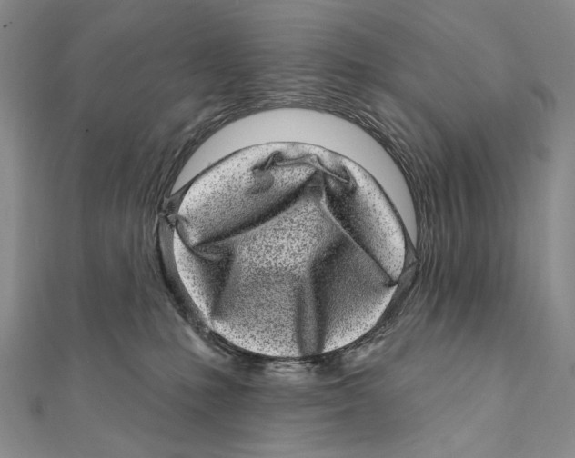 X0000111870231200908201223