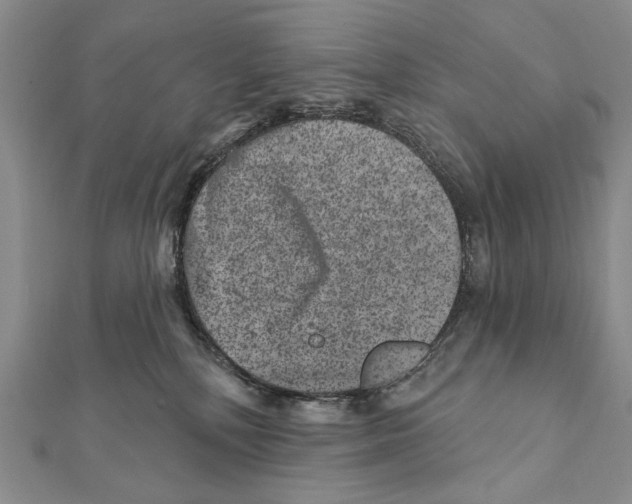 X0000111870232200908201223