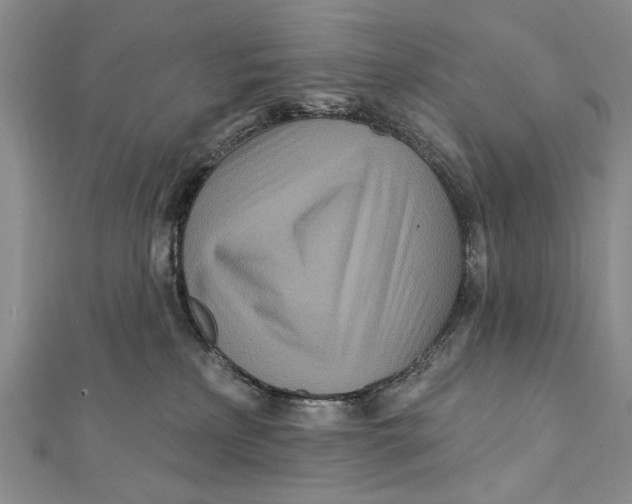 X0000111870233200908201223