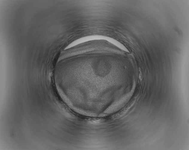 X0000111870235200908201223