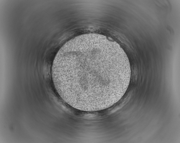 X0000111870236200908201223