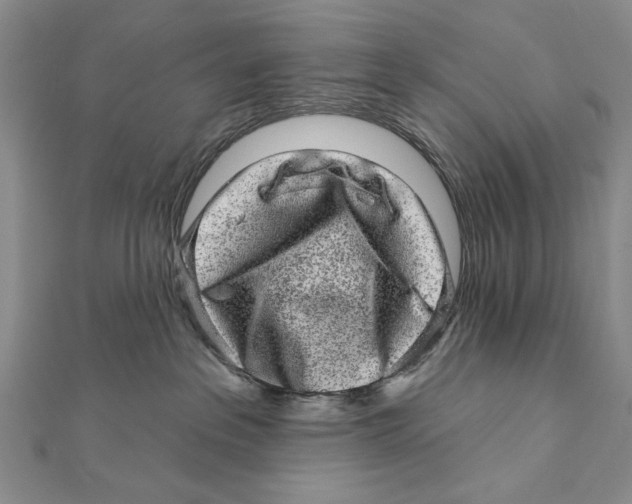 X0000111870237200908201223