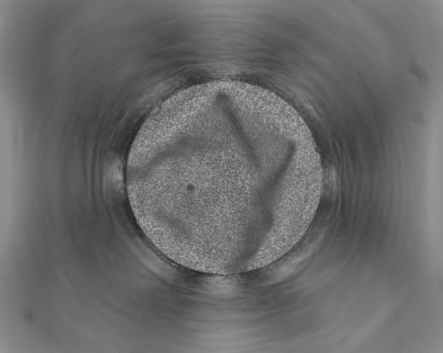 X0000111870238200908201223