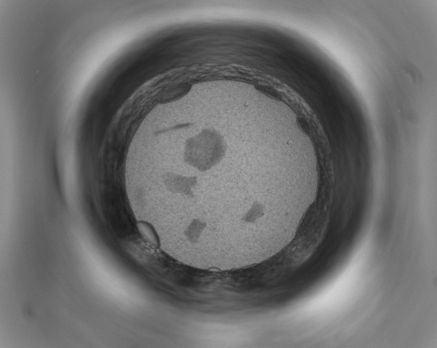 X0000111870239200908201223