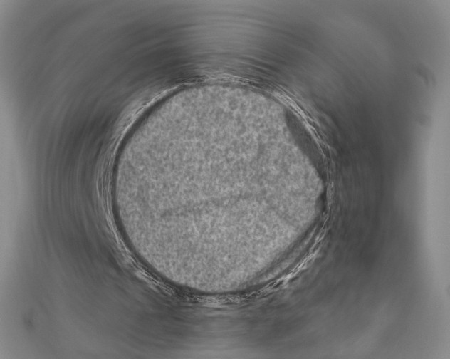 X0000111870241200908201222