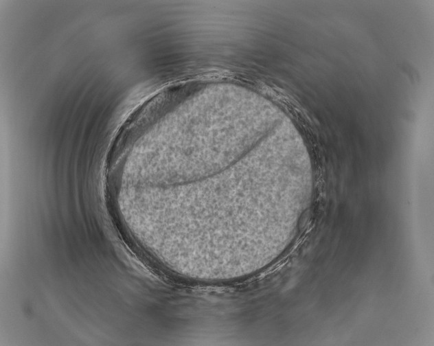 X0000111870242200908201222