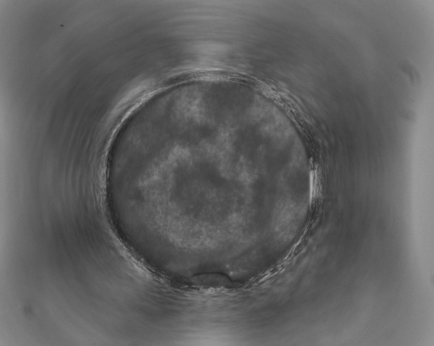 X0000111870243200908201222