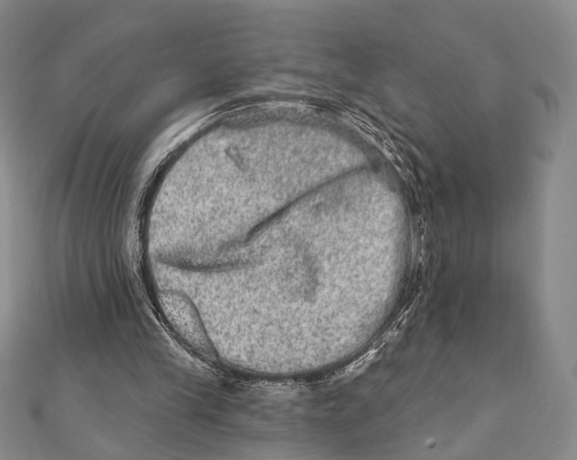 X0000111870245200908201222