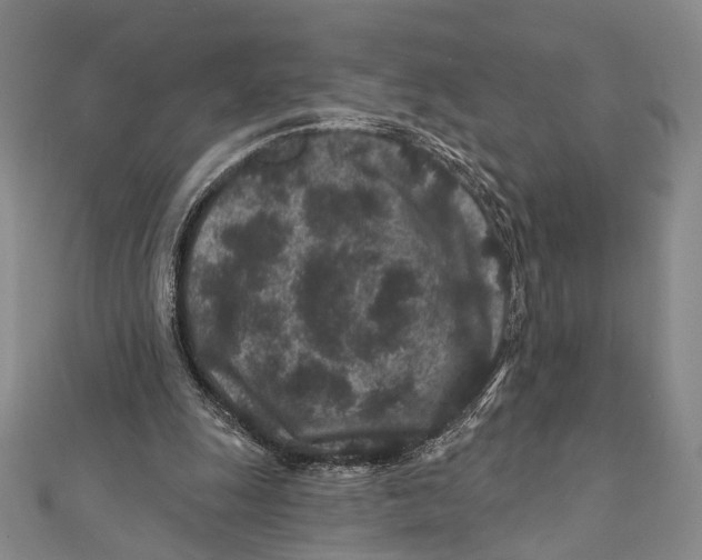 X0000111870247200908201222