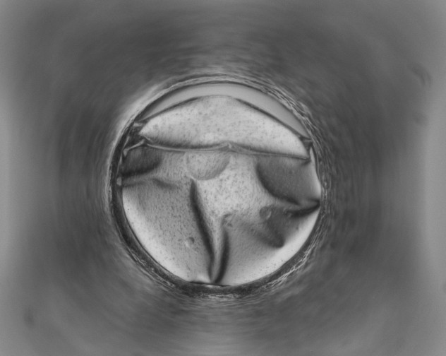 X0000111870248200908201222