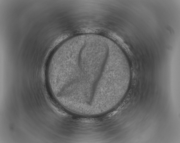 X0000111870250200908201222