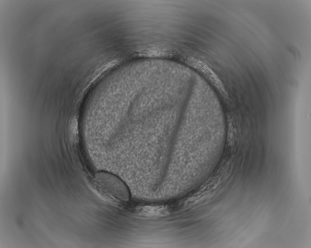 X0000111870251200908201222